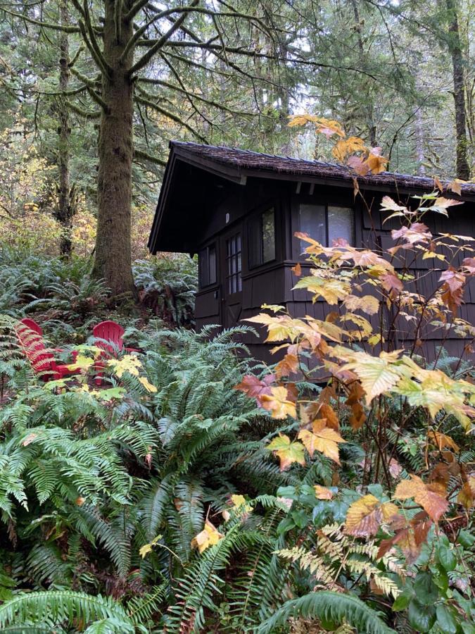 The Smith Creek Village Outdoor Hotel At Silver Falls State Park Sublimity Екстериор снимка